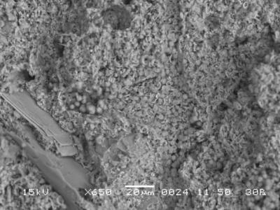  10.а. Кремнеземистый мергель, K2st, Курская область– глинистые минералы, увеличение 650;